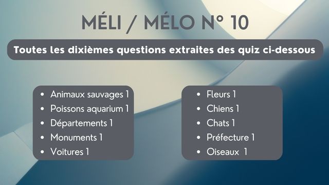 Méli Mélo 10