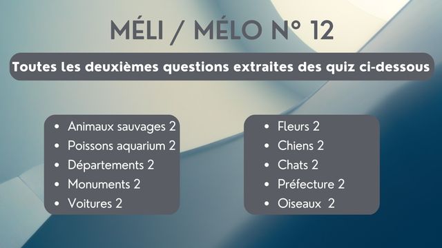 Méli Mélo 12