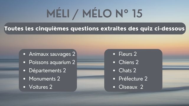 Méli Mélo 15